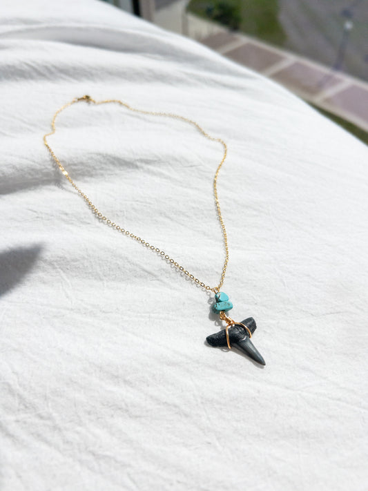 Turquoise Shark Tooth Necklace