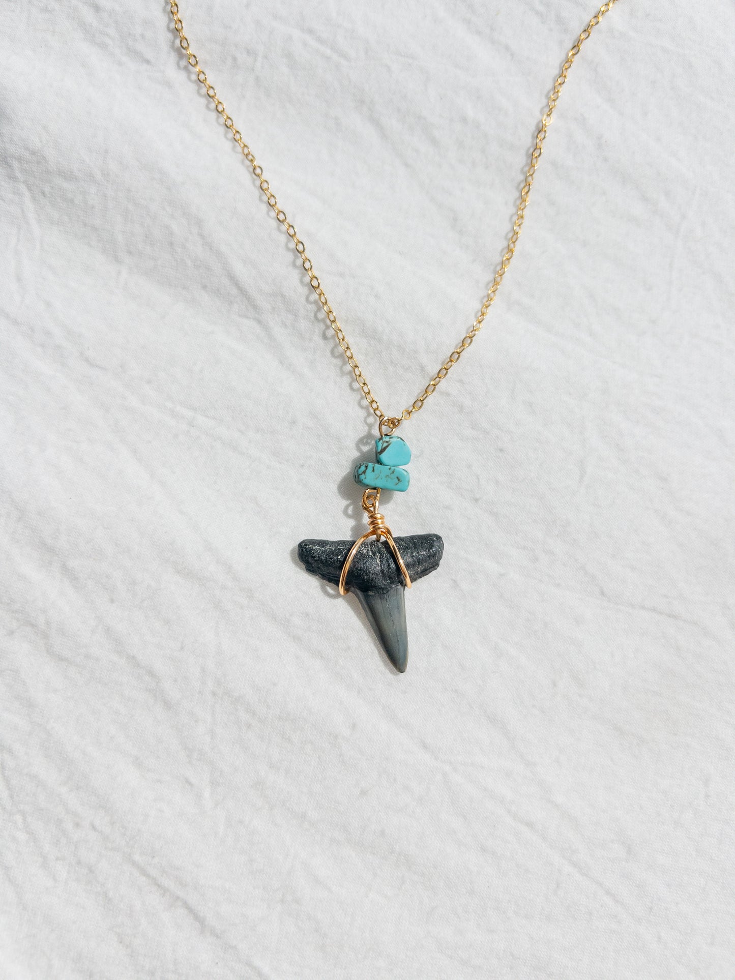 Turquoise Shark Tooth Necklace